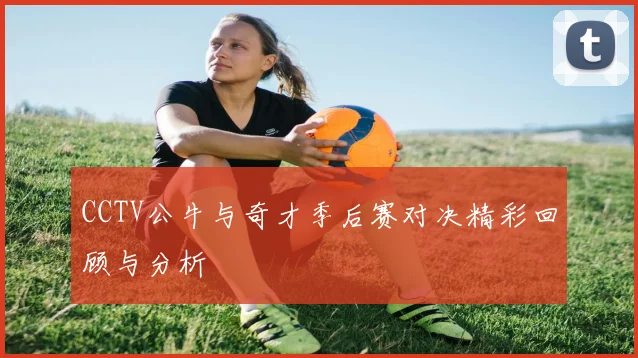 CCTV公牛与奇才季后赛对决精彩回顾与分析