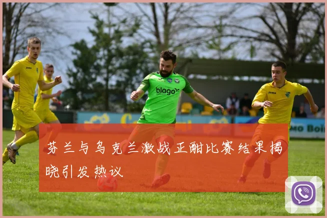 芬兰与乌克兰激战正酣比赛结果揭晓引发热议